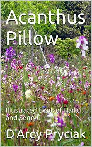 Acanthus Pillow: Illustrated Of Haiku And Senryu