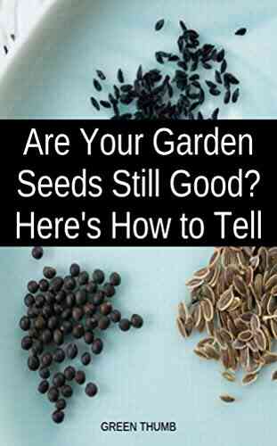 Are Your Garden Seeds Still Good? (Gardening Homestead 8)