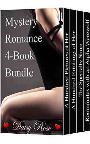 Mystery Romance 4 Bundle Daisy Rose
