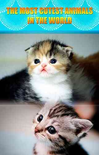 Cute Animals For Children: The Most Cutest Animals In The World Children S Photo (Cute Animals Cute Cats Cute Dogs Photo Children S Photo Book)