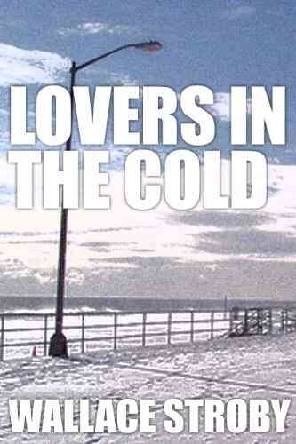 Lovers In The Cold Wallace Stroby