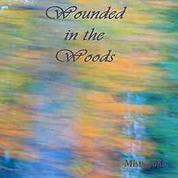 Wounded In The Woods Jessica Drake Thomas