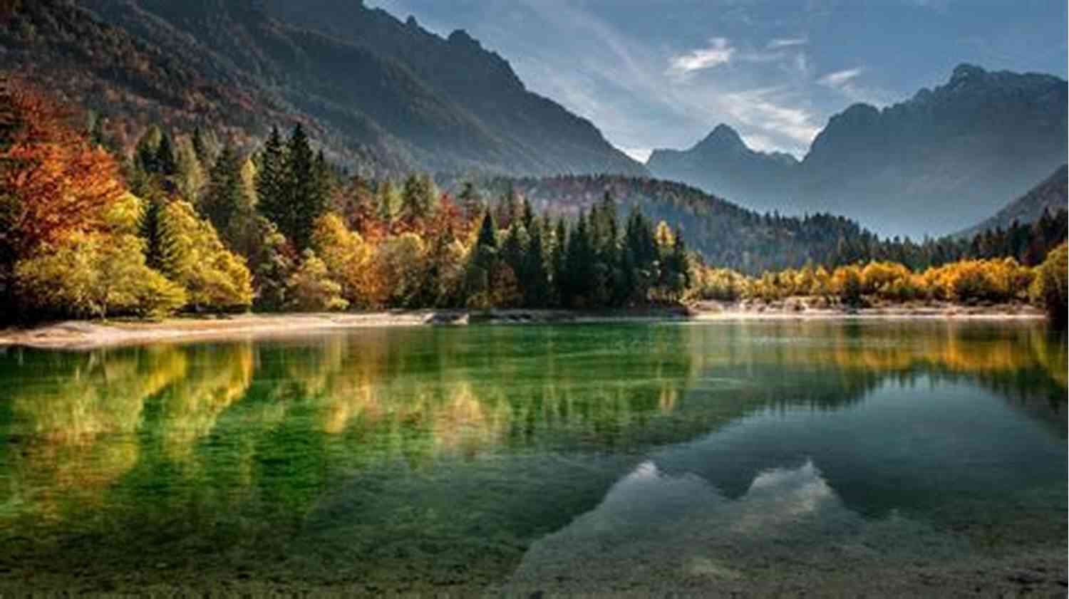 A Serene Picture Of A Little Tree Surrounded By A Peaceful Forest Lake And Mountains Be Still Little Tree Be Still