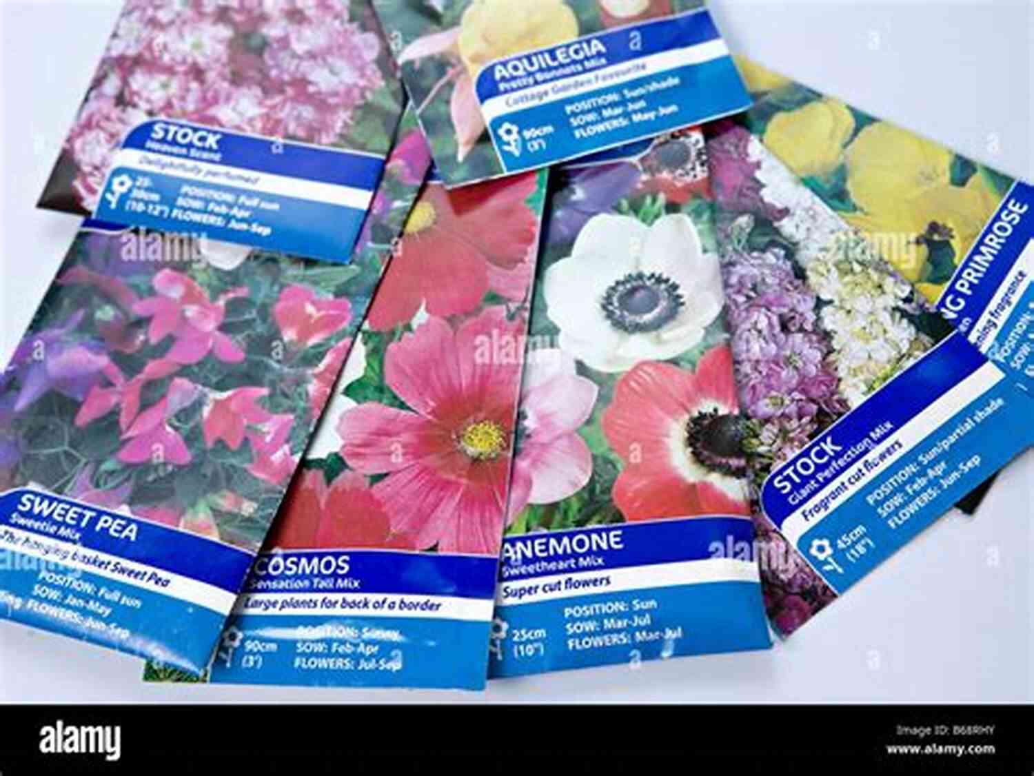 A Variety Of Garden Seeds, Brightly Colored And Ready To Be Sown Are Your Garden Seeds Still Good? (Gardening Homestead 8)