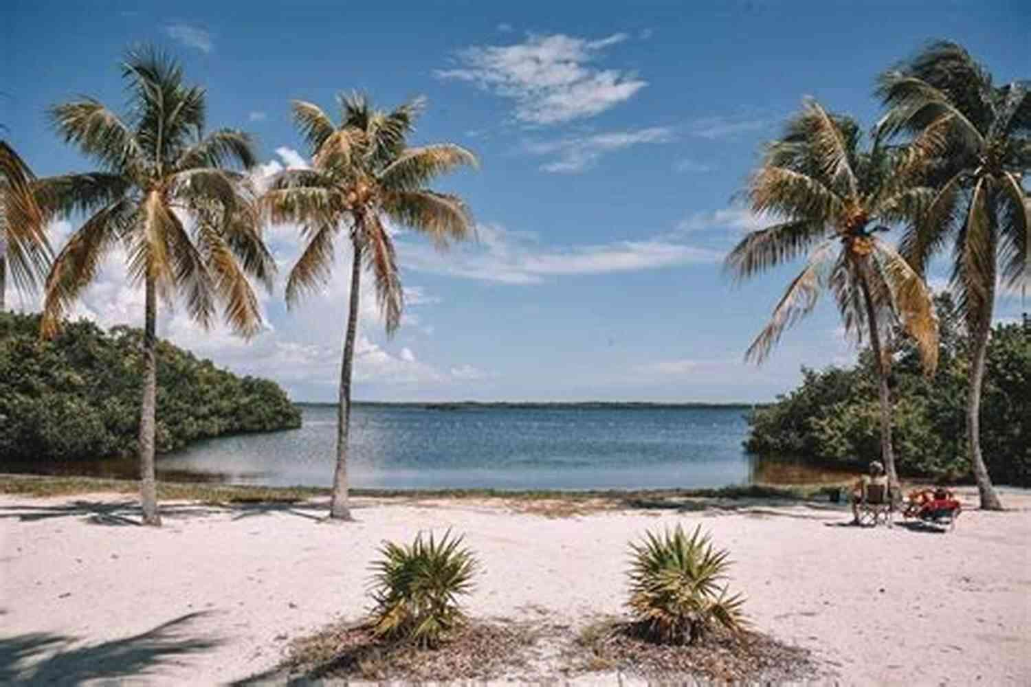 Christmas On The Beach In Key Largo Christmas Wishes (Key Largo Christmas 2)