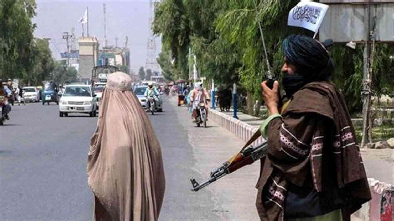 Dolphin The Taliban Take Over Of Afghanistan: Some Of The Facts You Need To Know