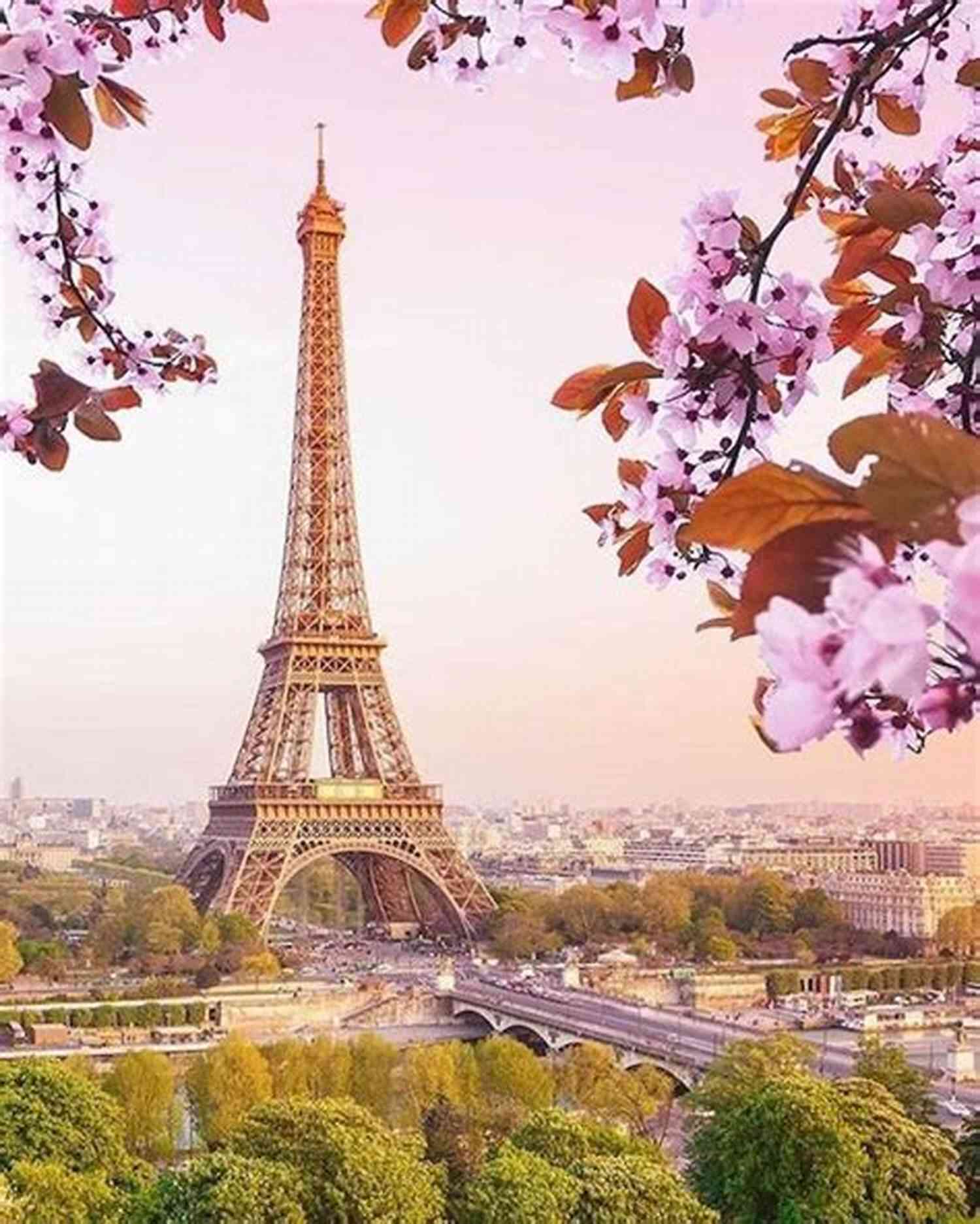 Eiffel Tower During Summer The Taliban Take Over Of Afghanistan: Some Of The Facts You Need To Know
