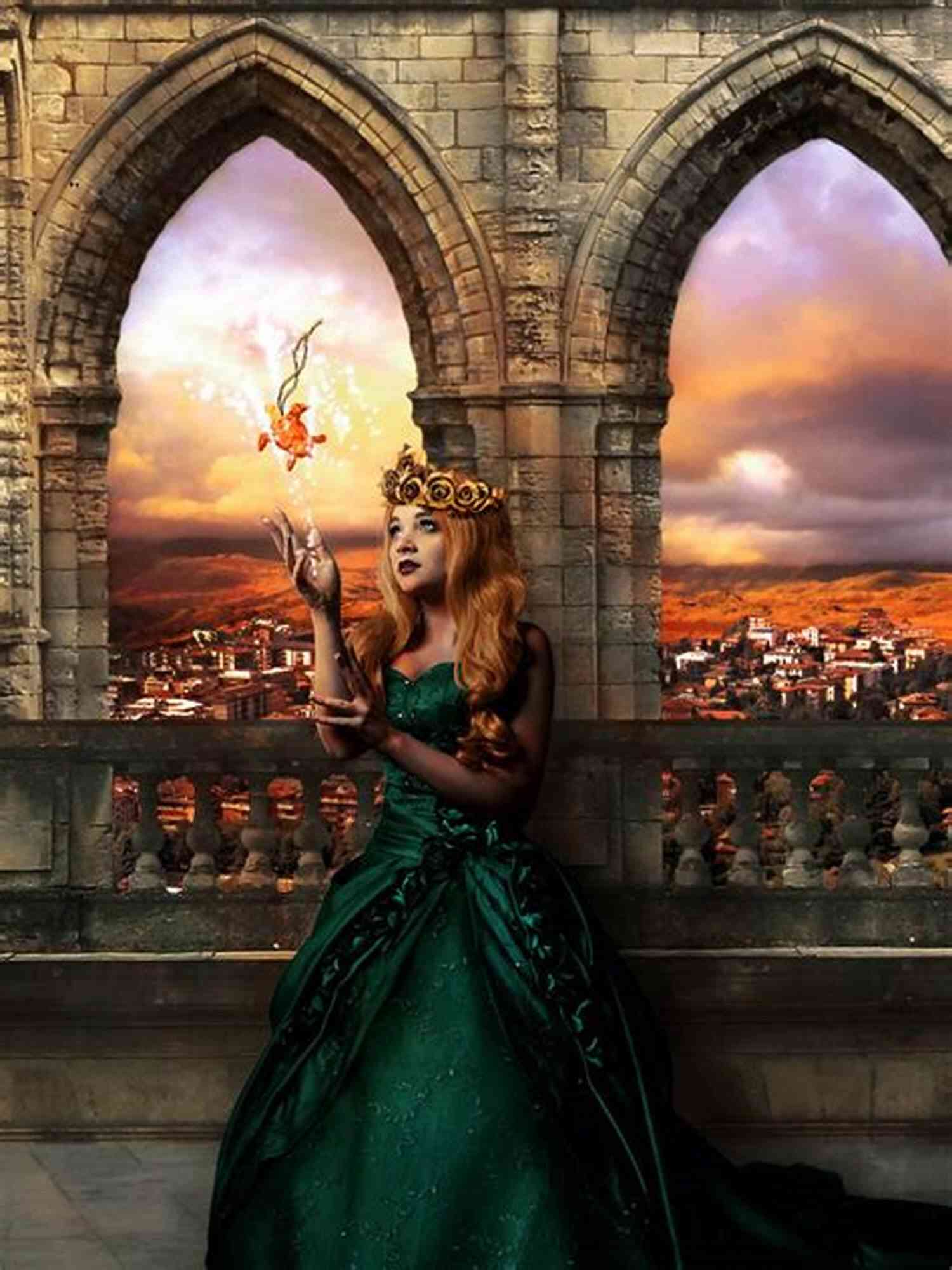 Elayne Trakand The Queen Knife Of Dreams: Eleven Of The Wheel Of Time