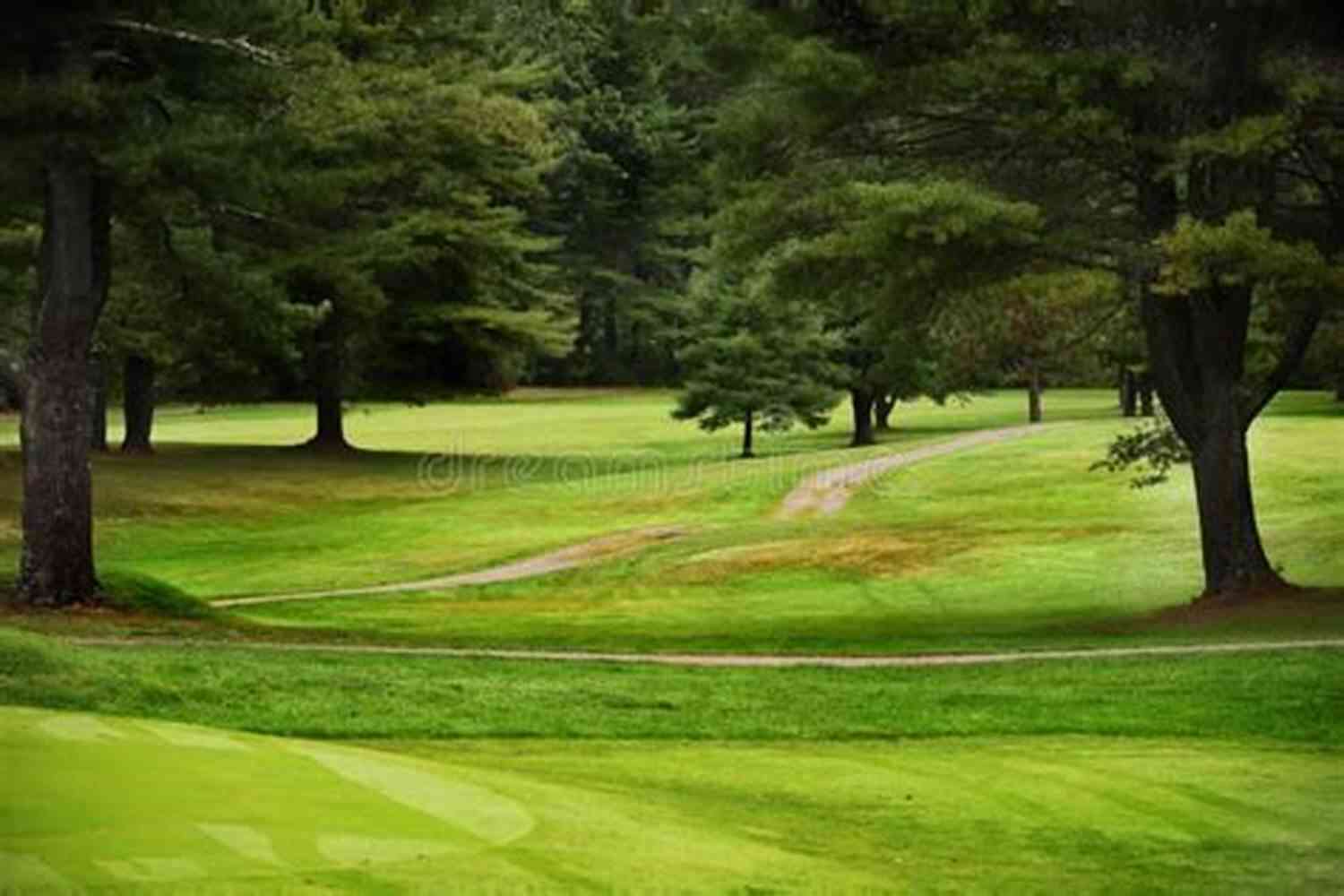 Enjoying A Round Of Golf In A Beautiful Green Golf Course Four Games You Can Play On Your Next Golf Round With Your Friends: Golf Can Be Fun