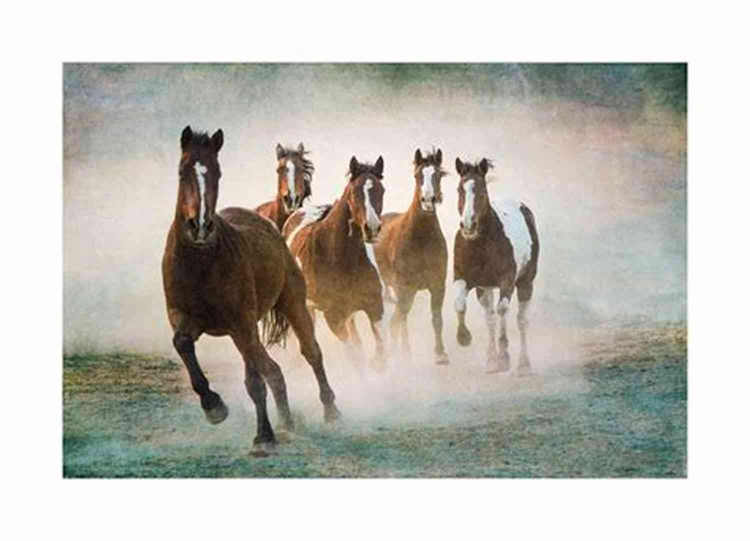 Gorgeous Blaze Of Glory Damsels To Die For Swimming Gracefully In Their Natural Habitat Blaze Of Glory #2 Damsels To Die For: An Action Adventure Adult Western