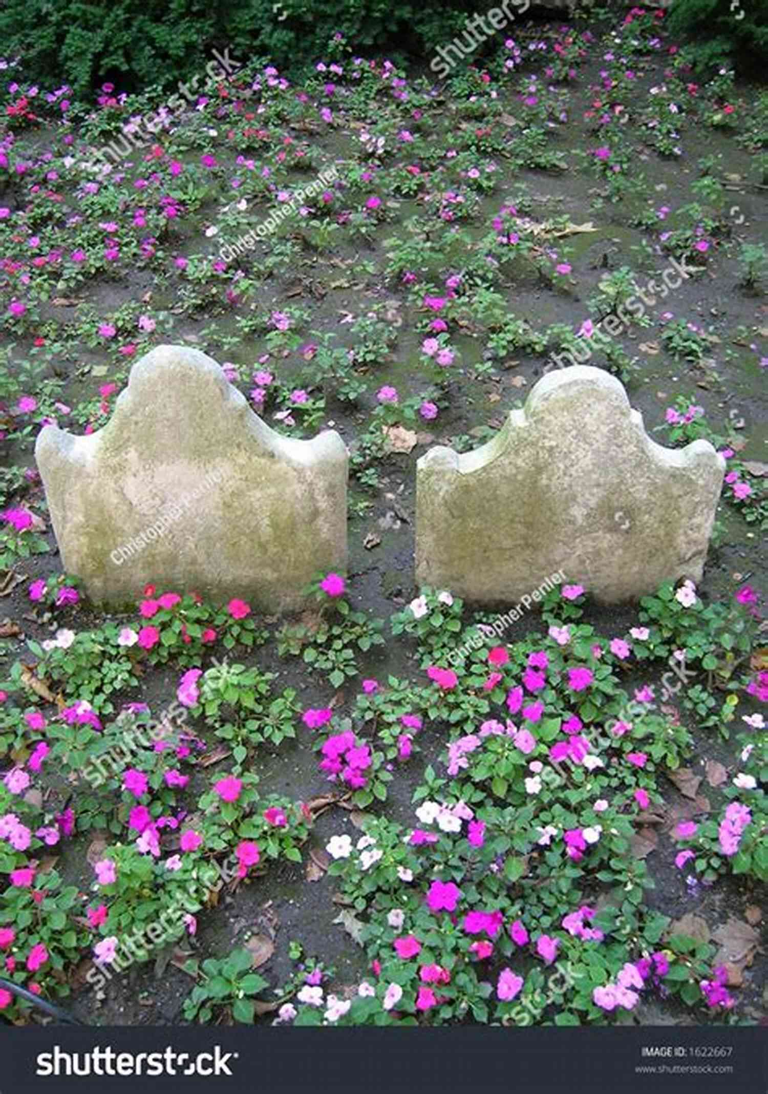 Majestic Tombstones Surrounded By Colorful Flowers, Set Against A Breathtaking Mountain Backdrop. A Beautiful Place To Die: A Kiku Yakuza Assassin Action Thriller Novel (Kiku Yakuza Assassin Action Thriller 1)