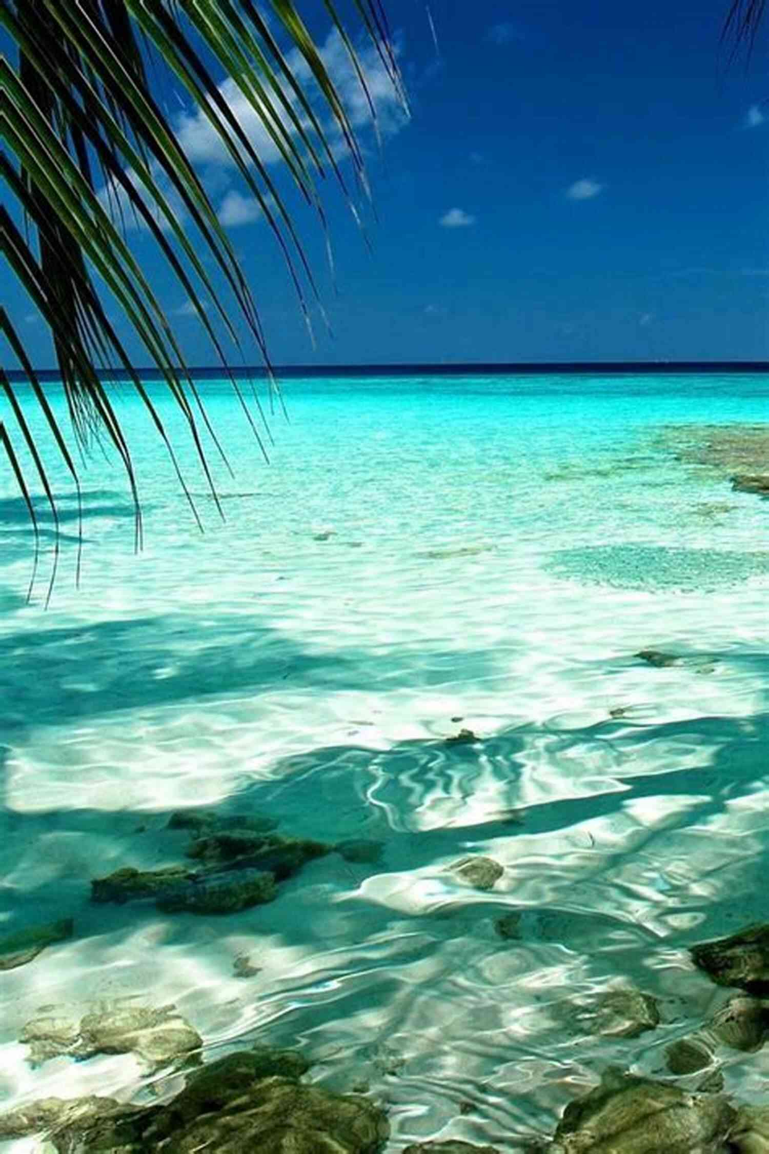 Mesmerizing Caribbean Beaches With Crystal Clear Turquoise Water Surrounded By Palm Trees And White Sand. The Trip Of A Lifetime (Caribbean 5)
