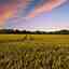 Promise Land Farms