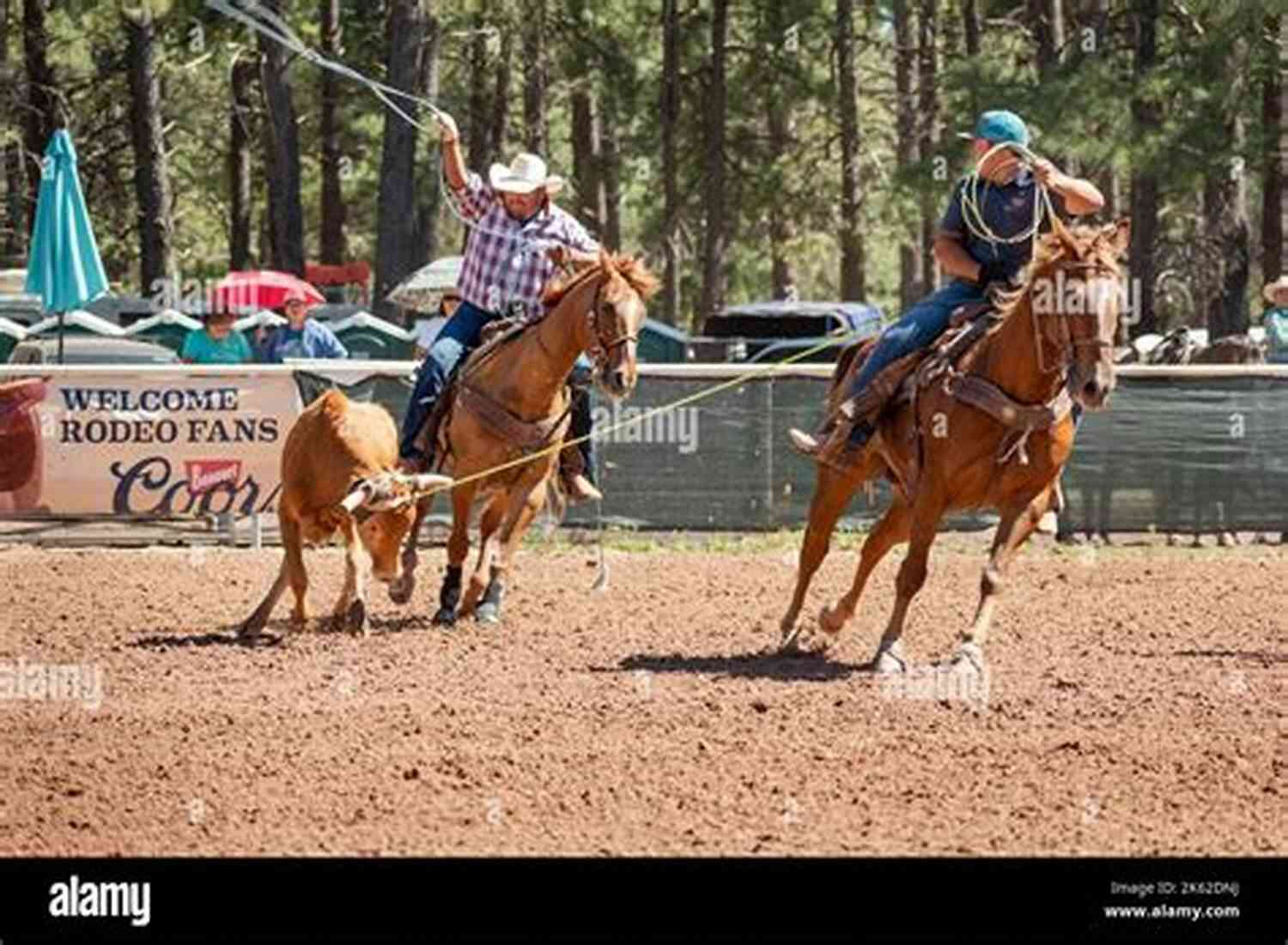 Roping Cattle Breaking In The Cowboy (WEST Protection 8)