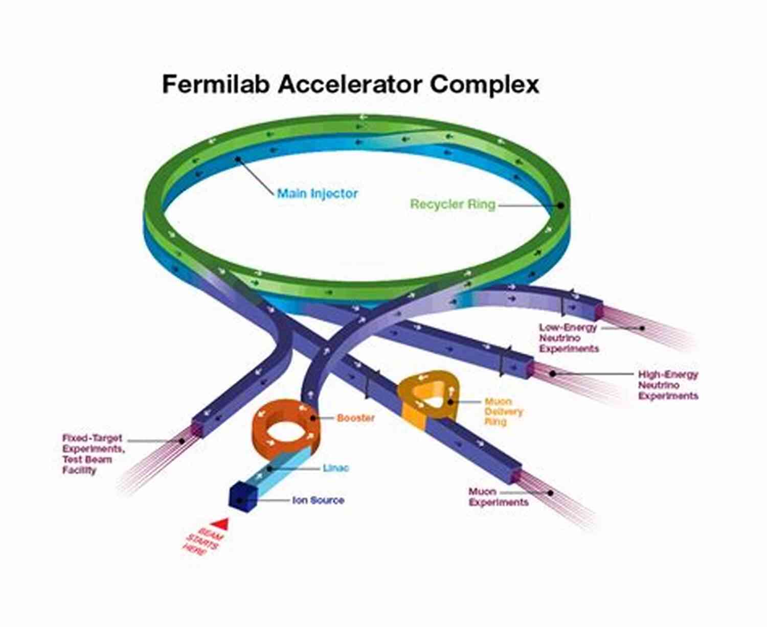 Simulation Of Neutrinos Colliding In A Particle Accelerator The Neutrino Was Not Discovered: It Was Invented