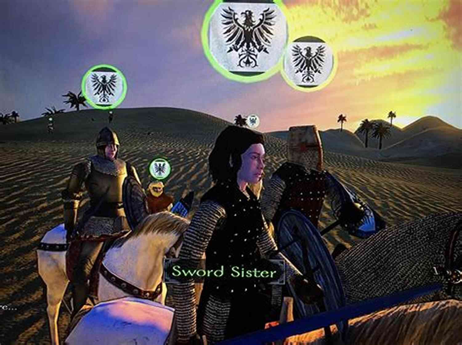 Sister Of The Sword Holding A Banner, Representing Their Legacy Sister Of The Sword: The Barbarians 3