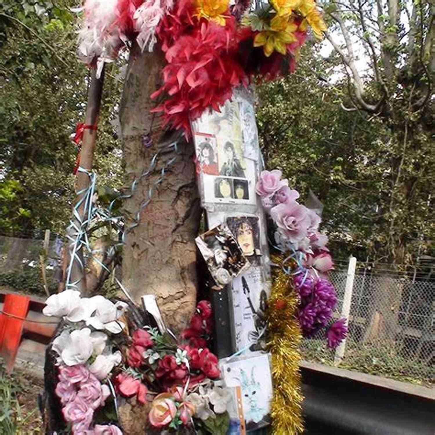 The Bolan Tree With Fan Tributes 10 Tales Marc Bolan Behind The Scenes: More British Rock N Roll Stories