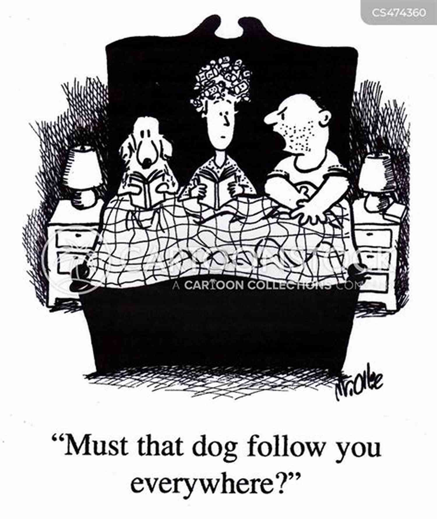The Luggage – A Comical And Loyal Companion The Light Fantastic: A Novel Of Discworld