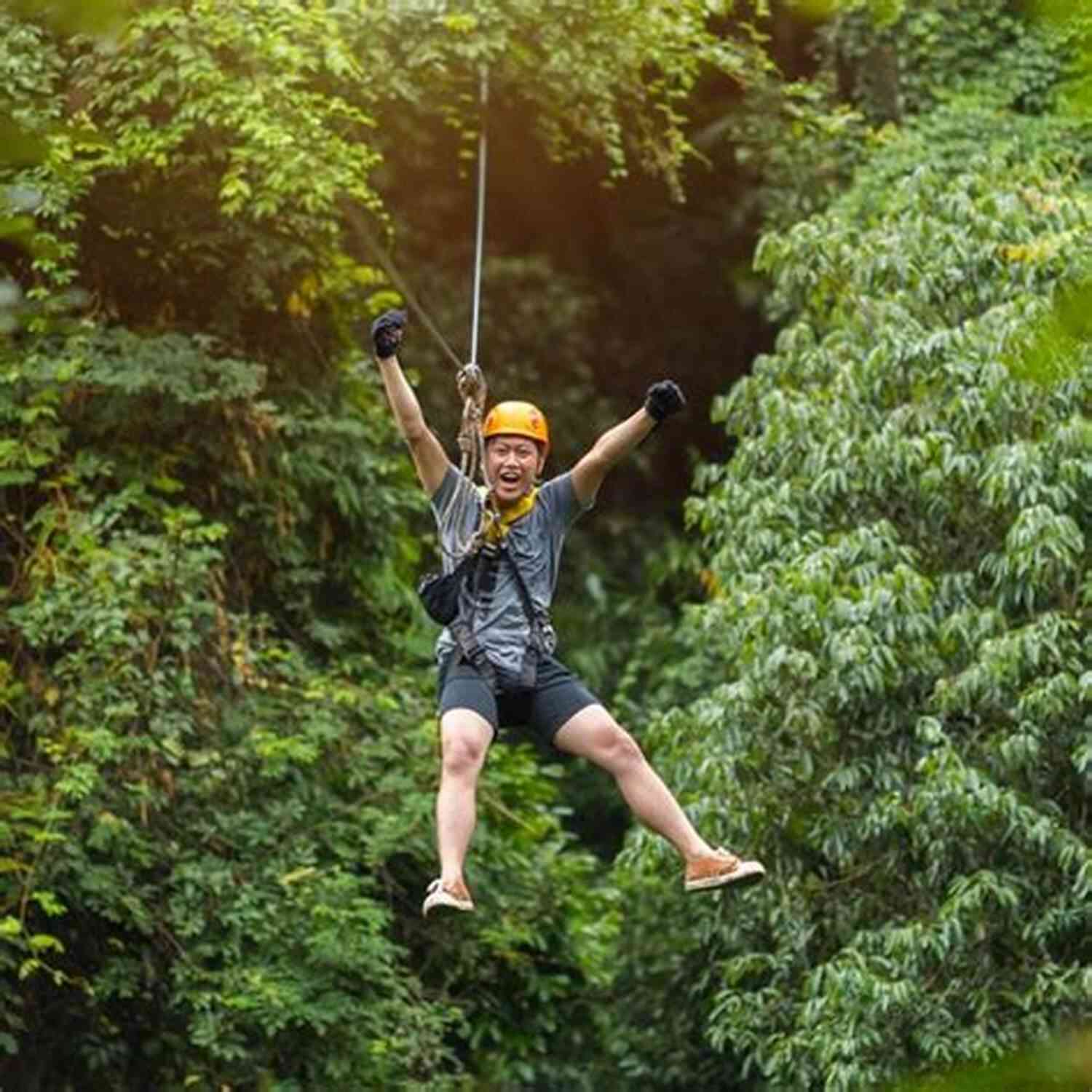 Thrilling Adventure In The Caribbean: Zip Lining Through Lush Tropical Rainforest With Breathtaking Views. The Trip Of A Lifetime (Caribbean 5)